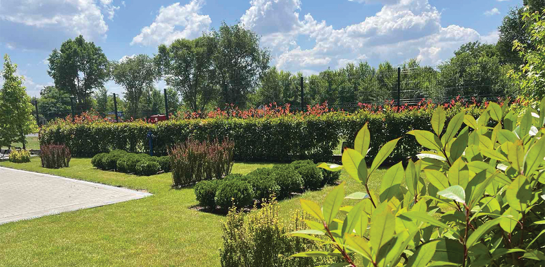 INPUT WINS FIRST PRIZE IN THE MOST BEAUTIFUL GARDEN COMPETITION